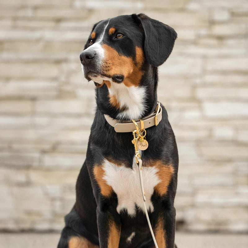 herzjubel Set Biothane taupe ⋙SOFT ELEGANCE WALKIE⋘