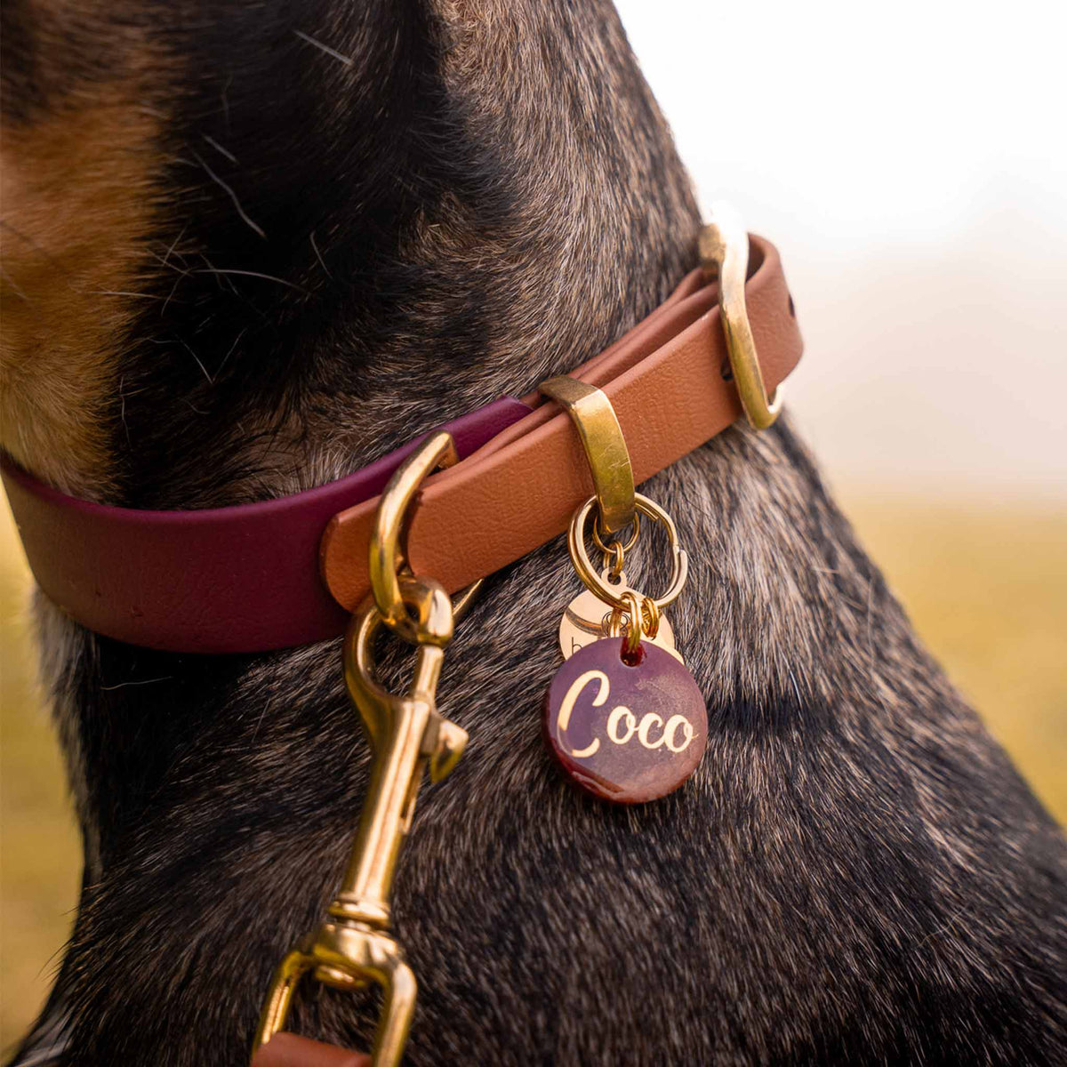 herzjubel Hundemarke ⋙AUTUMN GLOW⋘ Tragebeispiel