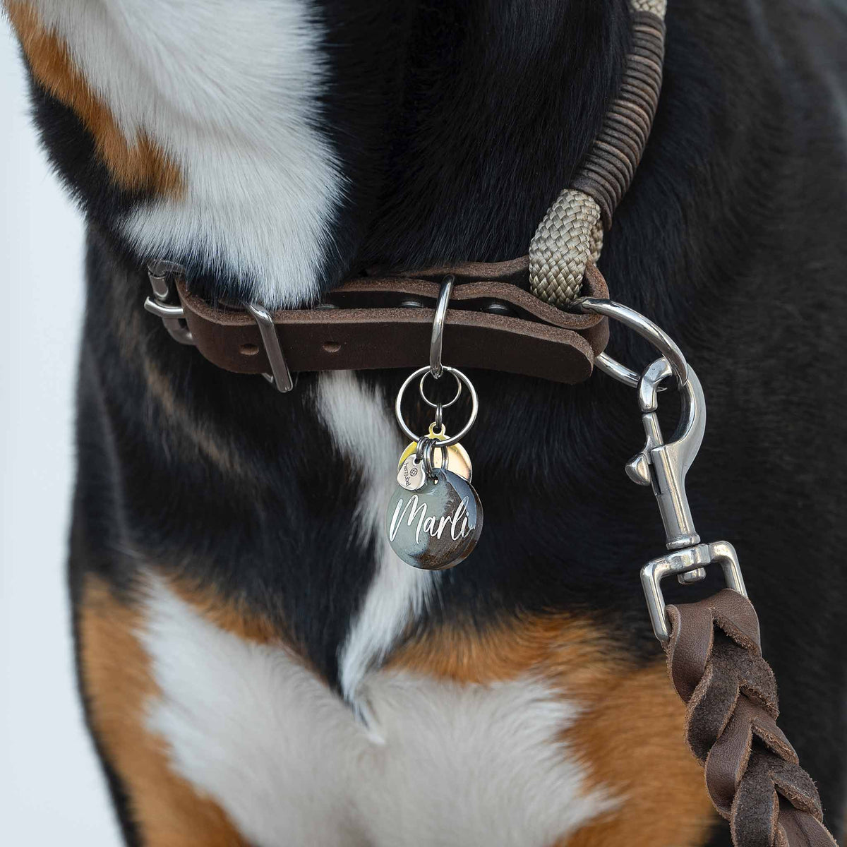 herzjubel Hundemarke ⋙CAPPUCCINO CHARM⋘ Tragebeispiel