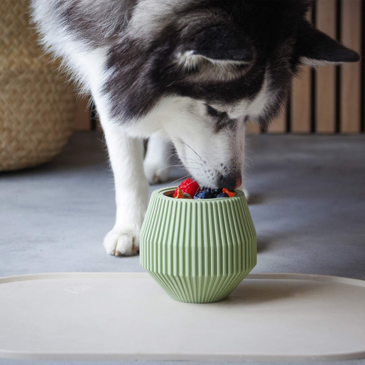 Neu bei herzjubel - YUME multifunktionales Beschäftigungspielzeug für Hunde in grün