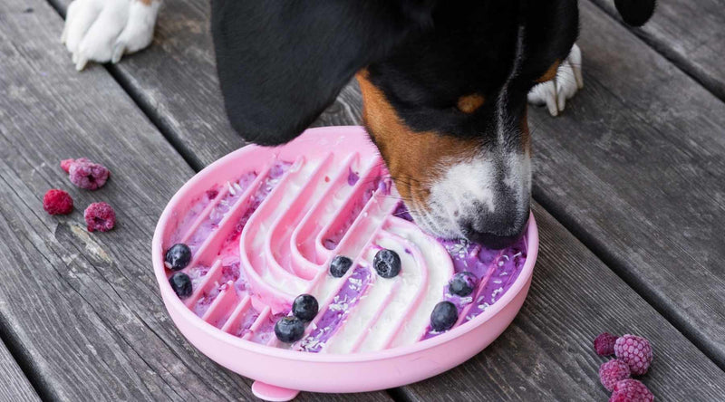 Sommer-Schleckmatte für Hunde – einfache Rezeptidee mit Joghurt und Beeren
