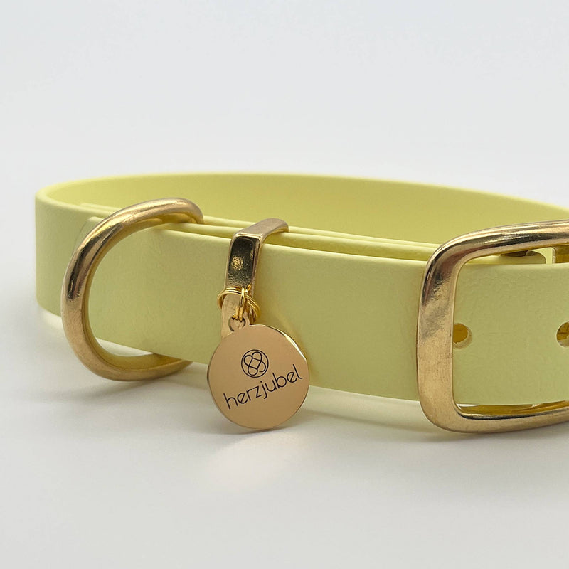 herzjubel Hundehalsband Biothane gelb ⋙LEMON DREAM WALKIE⋘