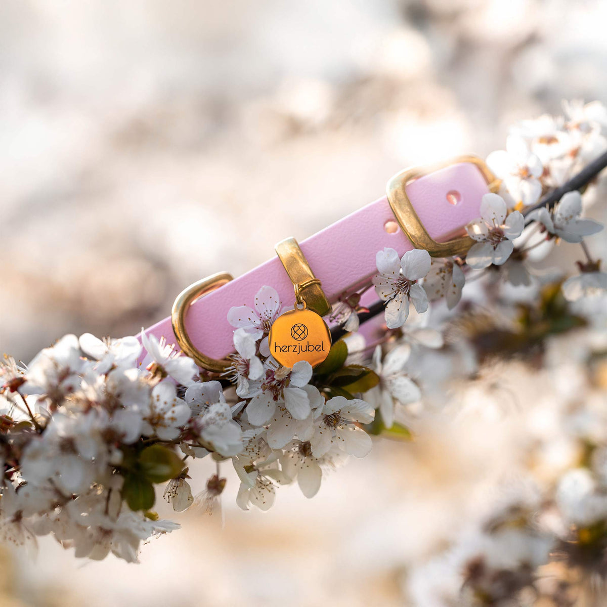 Hundehalsband Biothane rosa ⋙SOFT ROSE WALKIE⋘