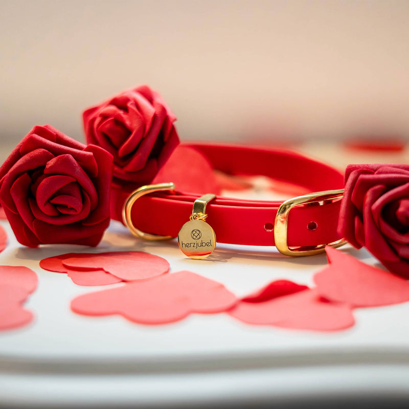 herzjubel Hundehalsband Biothane rot ⋙TRUE LOVE WALKIE⋘