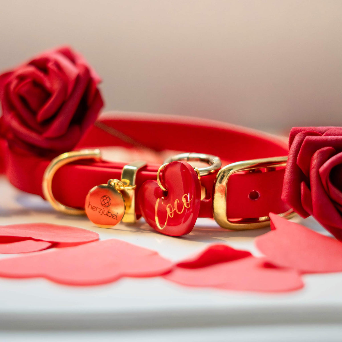 herzjubel Hundehalsband und Hundemarke Herz ⋙TRUE LOVE⋘ personalisiert