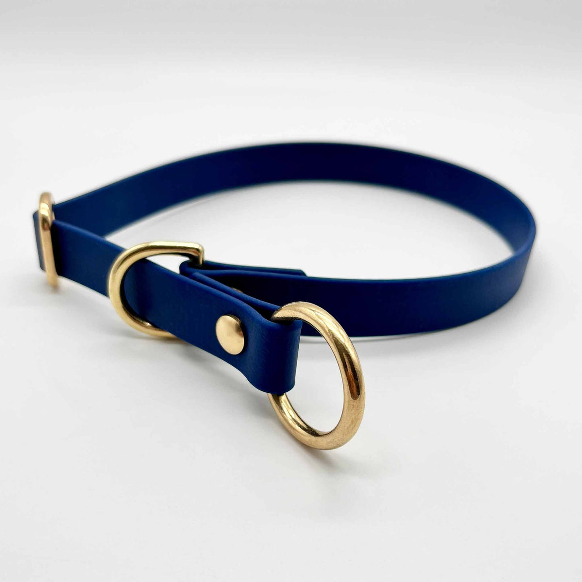 Hundehalsband Zugstopp Biothane ⋙ANY WEATHER WALKIE⋘ in blau/gold