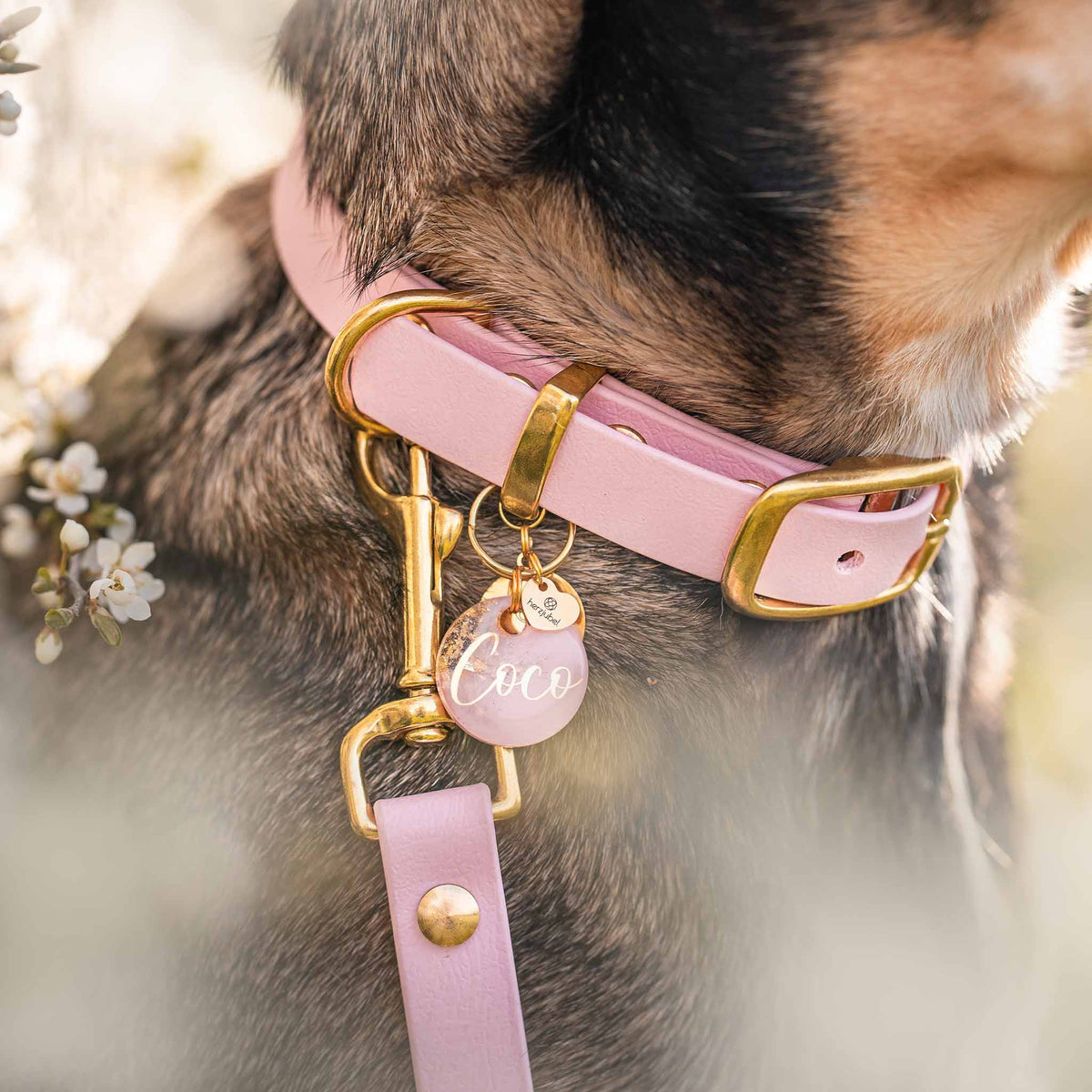 Tragebeispiel Set Biothane rosa ⋙SOFT ROSE WALKIE⋘ mit passender Hundemarke
