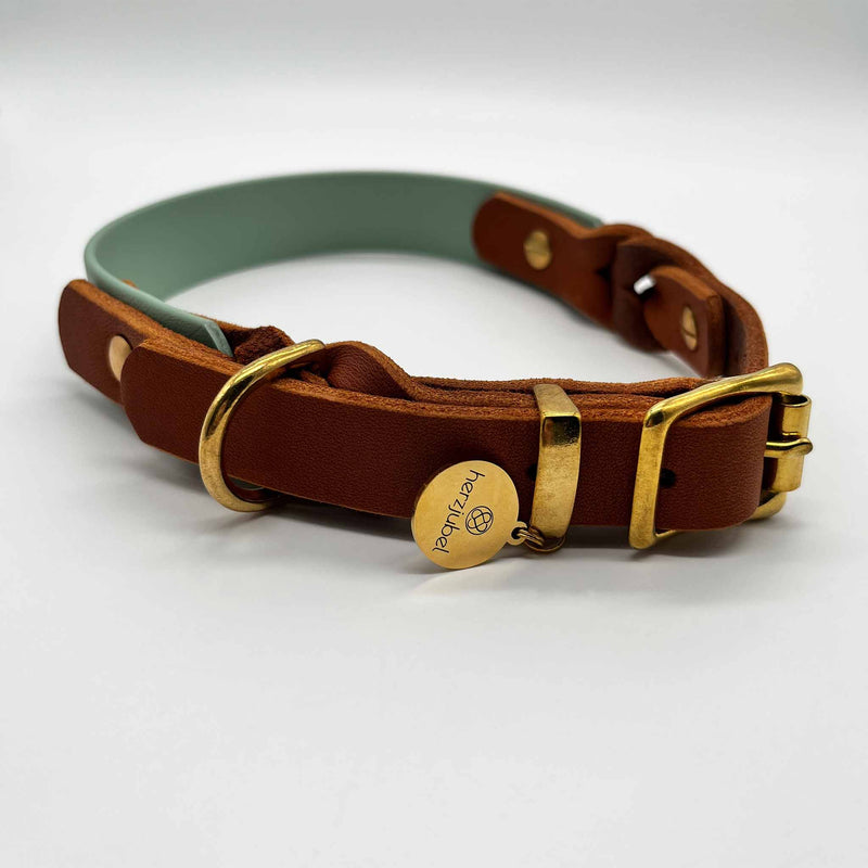 herzjubel Hundehalsband Biothane x Leder salbeigrün/cognac ⋙SAGE SENSATION WALKIE⋘