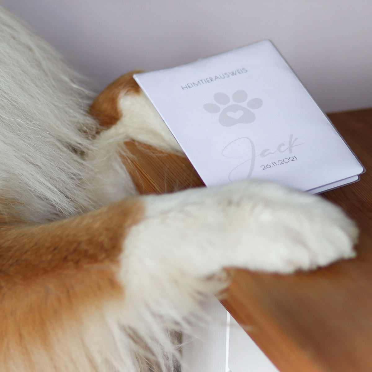 herzjubel Schutzhülle für EU Heimtierausweis/Impfpass ⋙PAW LOVE⋘ Personalisierungsbeispiel taupe