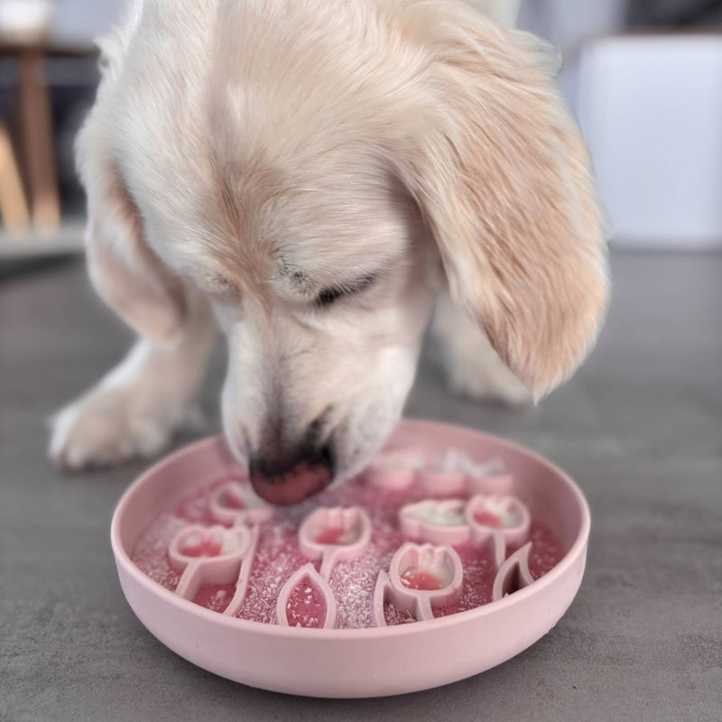 Hunde-Schleckmatte puderrosa ⋙BLOOM⋘