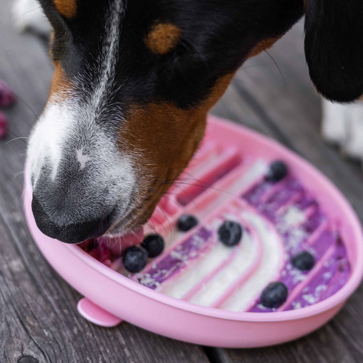 Hunde-Schleckmatte rosa ⋙CALM⋘