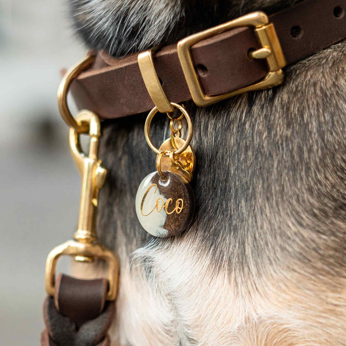 herzjubel Hundemarke ⋙CAPPUCCINO CHARM⋘ in gold Tragebeispiel