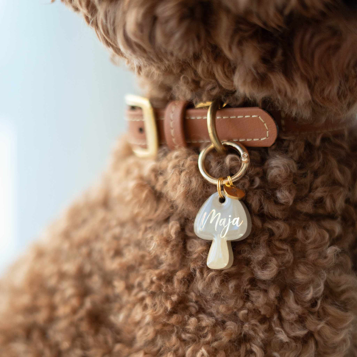 Beige-braune Hundemarke in Pilzform mit goldenem Karabiner-Befestigungsring Detail-Tragebeispiel Größe S, Form A