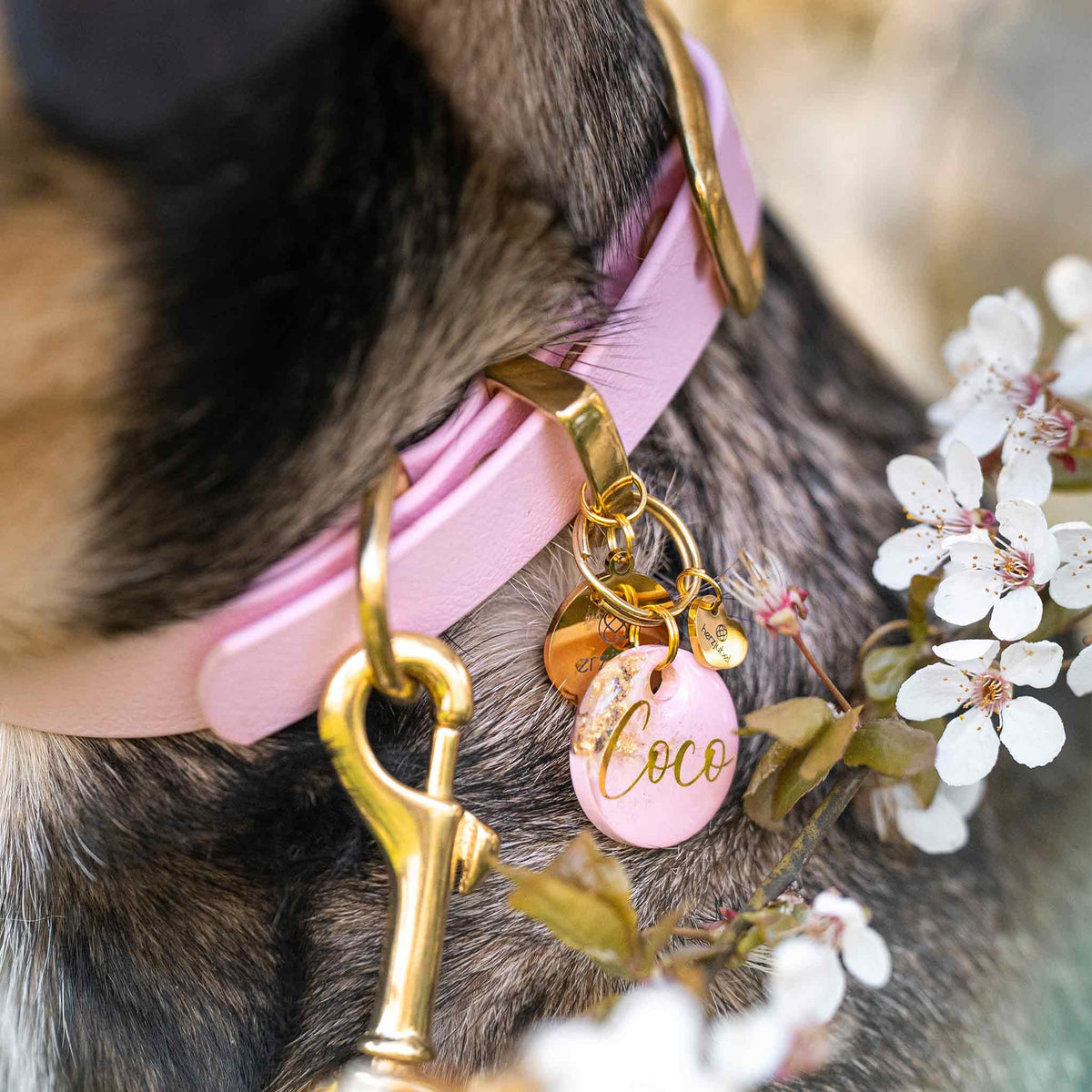 Hundemarke ⋙ROSE SPARKLE⋘