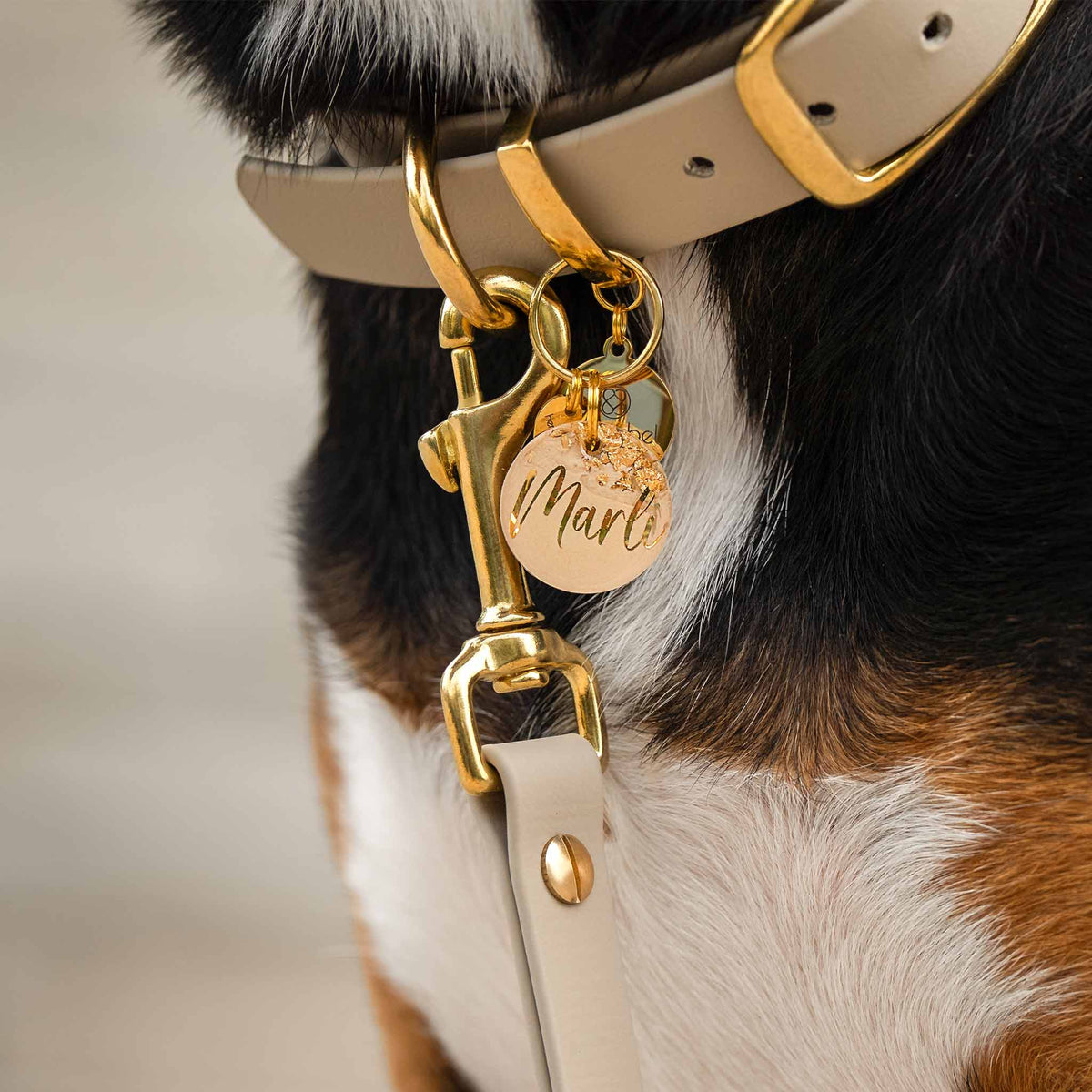 herzjubel Hundehalsband Soft Elegance mit Hundemarke Soft Taupe - Tragebeispiel