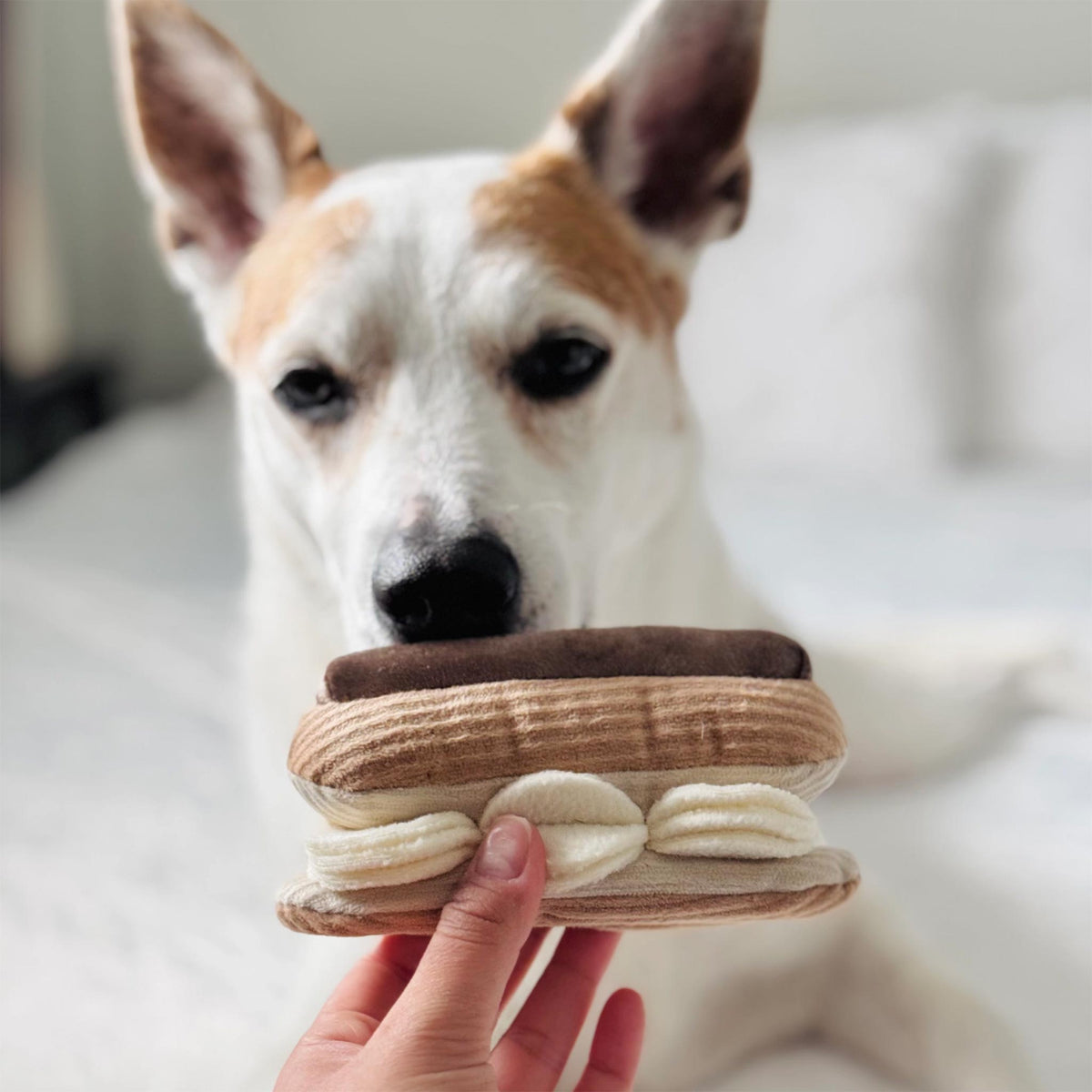 ECLAIR Schnüffelspielzeug