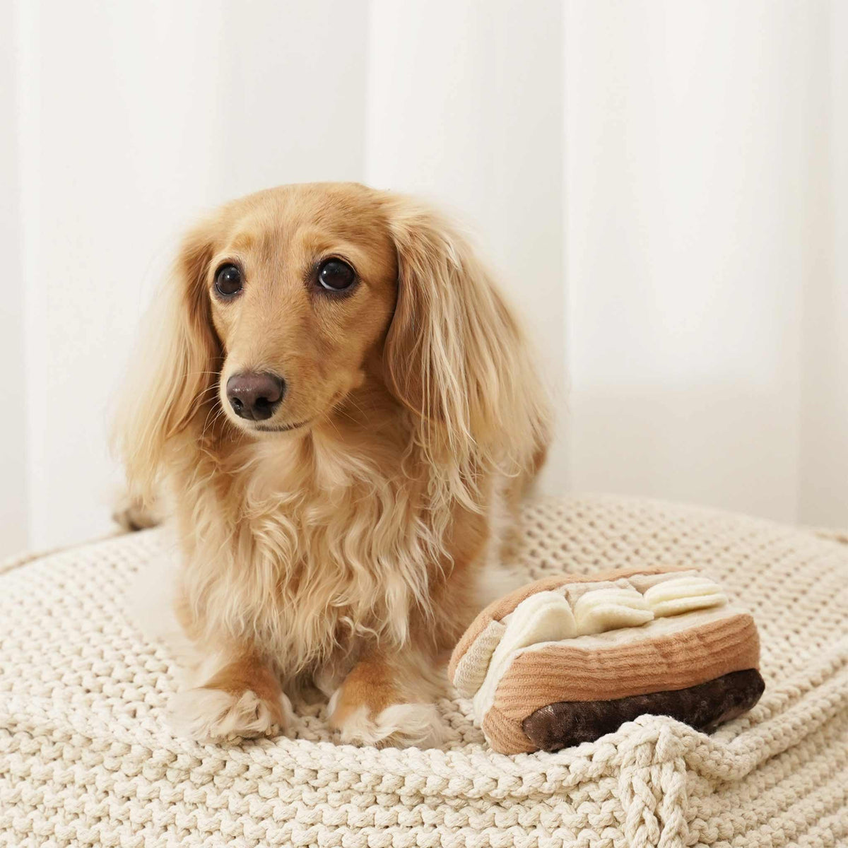 ECLAIR Schnüffelspielzeug