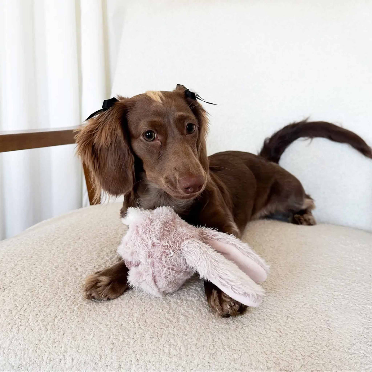 BUNNY POP Hundespielball