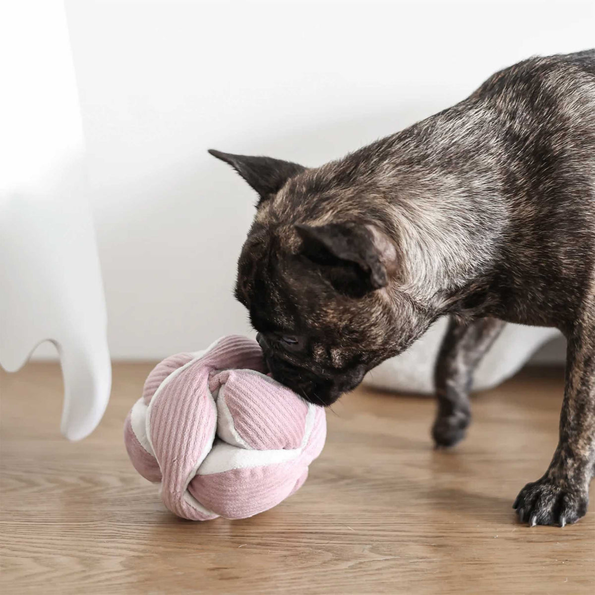 Neu bei herzjubel - lambwolf MONTI Schnüffelball MONTI in der Farbe Rosa - zum Schnüffeln, Spielen und Kuscheln für Deinen Hund