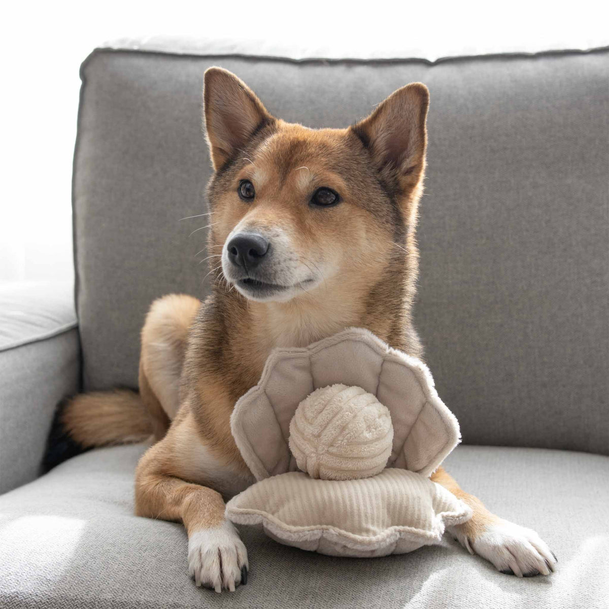 OYSTER POP Hundespielball Muschel