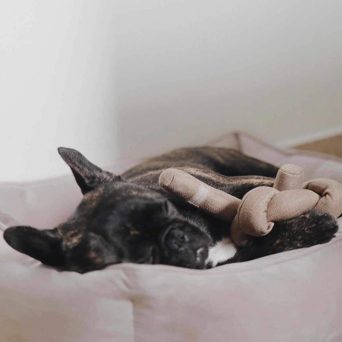 Neu bei herzjubel Lambwolf Collective NOU Hundespielzeug Tan