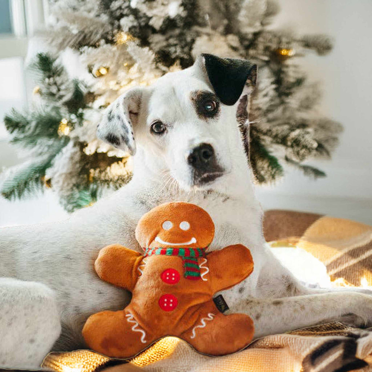 NEU bei herzjubel - P.L.A.Y. Hundespielzeug Weihnachten Lebkuchenmann GINGERBREAD MAN