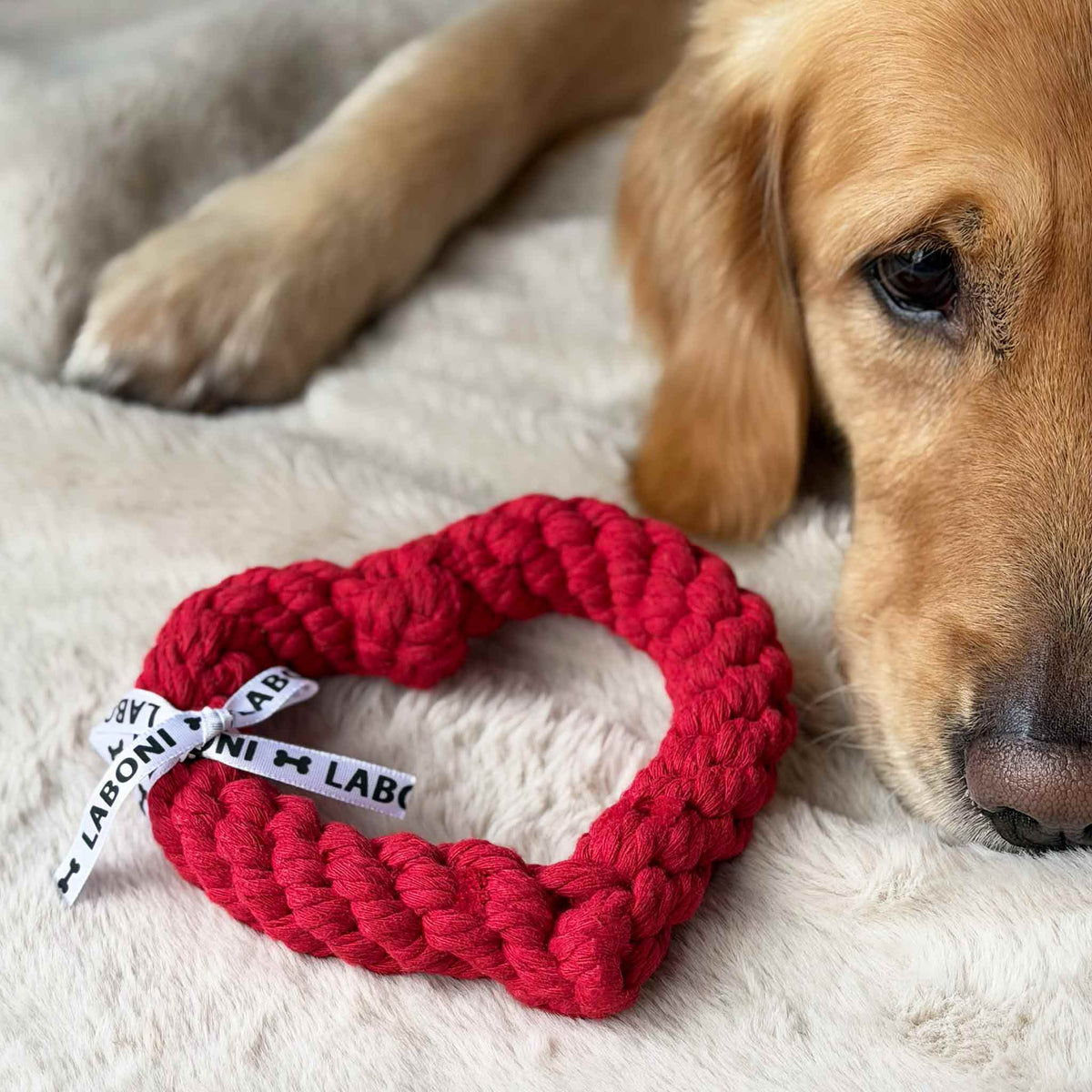 Hundespielzeug Herz rot HERTHA HEART