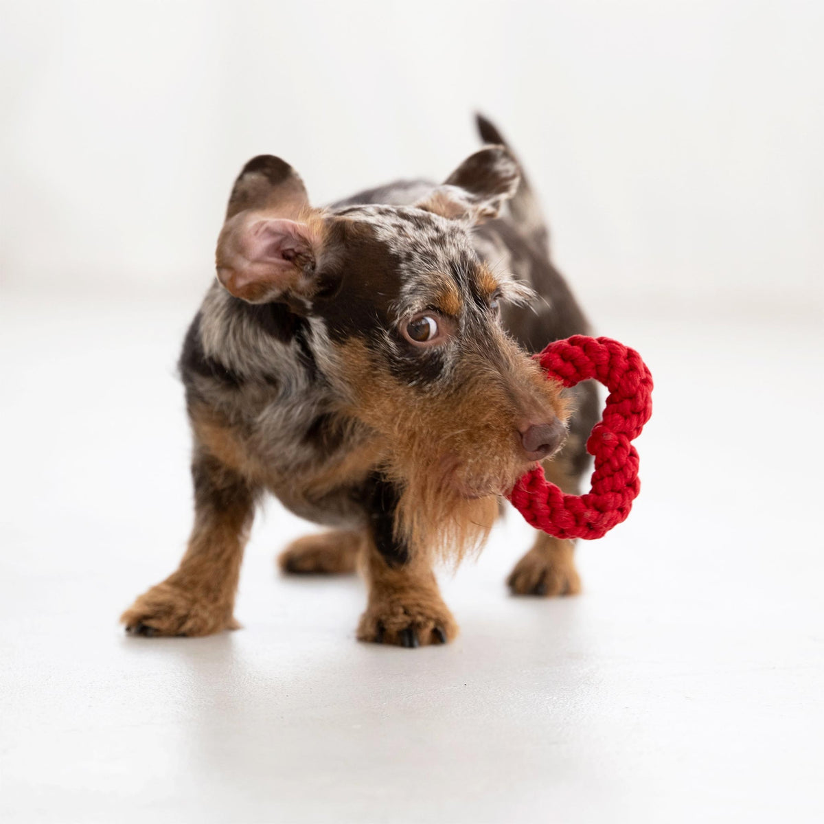 Hundespielzeug Herz rot HERTHA HEART