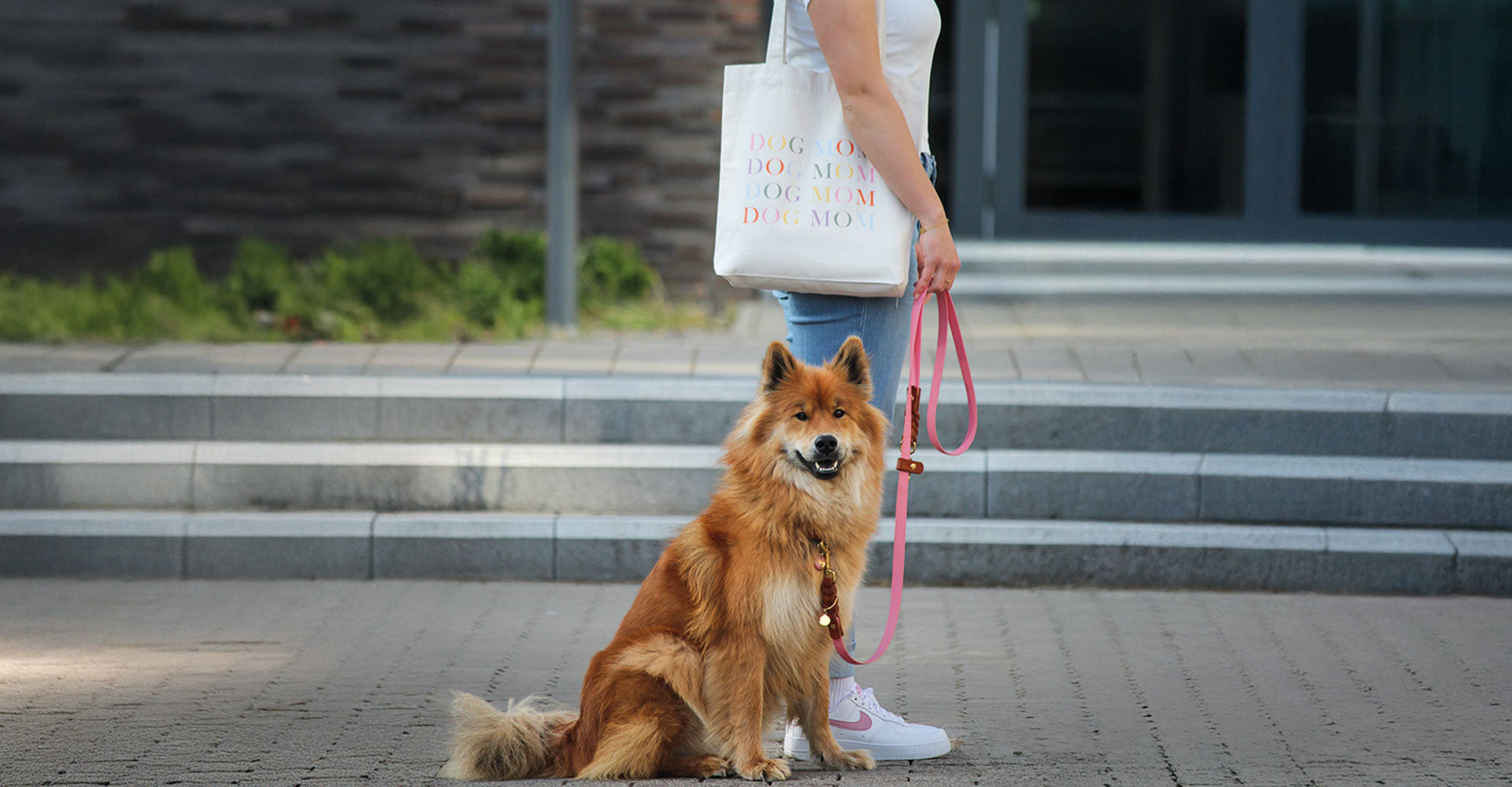 herzjubel Stofftasche "DOG MOM - LINES" und Aivy im "PINK GLOW"-Set