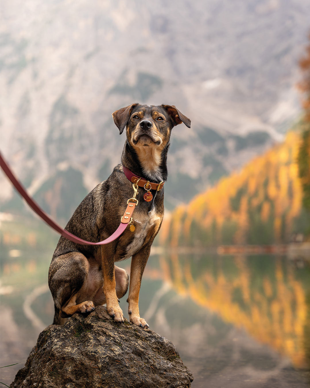 herzjubel Partner Coco Foto