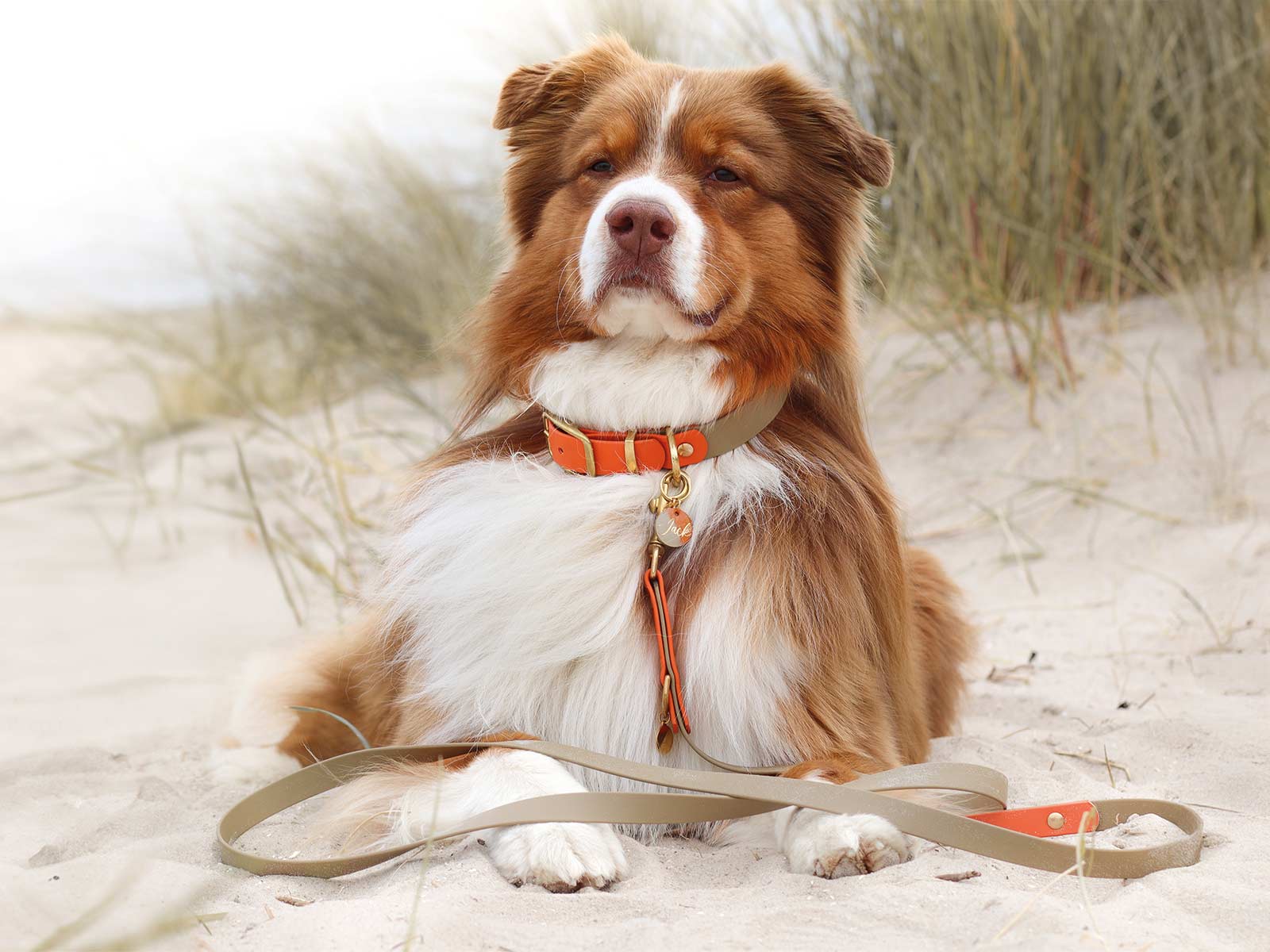 herzjubel zweifarbiges Biothane - Set ⋙GOLDEN AMBER WALKIE⋘