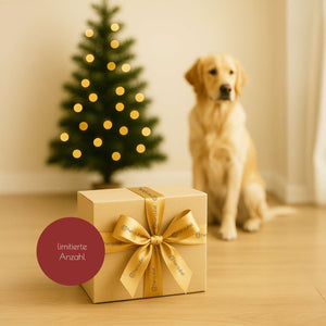 herzjubel Geschenkbox ⋙CHRISTMAS MAGIC⋘ - limitiert