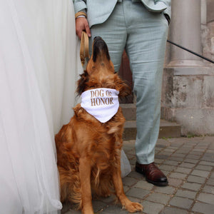 Hundehalstuch ⋙Dog of Honor⋘